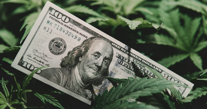 Impact of 280E on Cannabis Financials